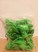Pack x 100 verde